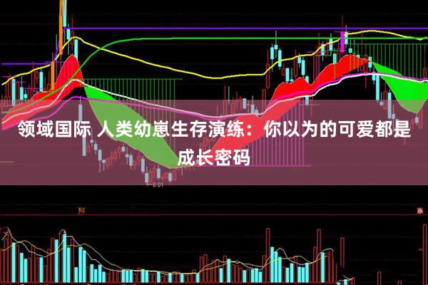 领域国际 人类幼崽生存演练：你以为的可爱都是成长密码