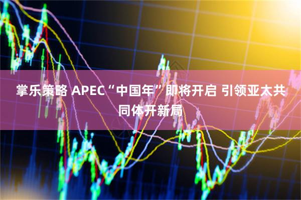 掌乐策略 APEC“中国年”即将开启 引领亚太共同体开新局